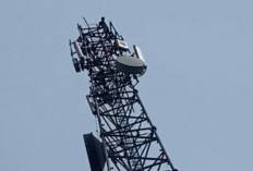 Warga Panikel Cilacap Naik Tower BTS 75 Meter, Tim SAR Bujuk Turun dengan Pendekatan Persuasif