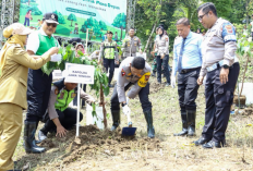 Tanam 11 Ribu Bibit Pohon di Ungaran, Ini Pesan Khusus Kapolda Jateng untuk Kapolres dan Generasi Muda