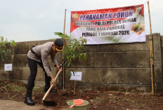 Rayakan Naik Pangkat, 98 Personel Polres Demak Tanam Ribuan Bibit Pohon