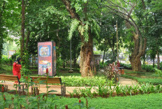 Modus Baru Jelang Lebaran di Semarang: Penyapu Jalan Gadungan Edarkan Proposal THR Palsu ke Toko-Toko