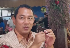 Hendi Buka Suara Soal Isu Gabung PSI, Tegaskan Masih Kantongi KTA PDIP dan Pilih Fokus Usaha