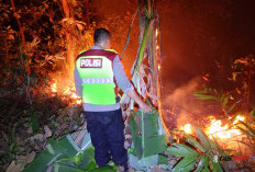 Api Bakar 1,4 Hektare Hutan Jati di Ayah Kebumen, Permukiman Warga Terancam