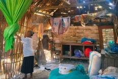 Menanti Uluran Tangan di Rumah Bambu Rapuh Blora
