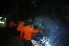 Polsek Bumijawa Tegal Tangani Kebakaran Lahan di Sokasari  