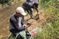 Fosil Raksasa Muncul di Kali Piji Kudus, Jejak Gajah Purba Kembali Menguak Misteri Patiayam