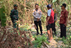 Bayi Laki-laki Ditemukan Tengkurap di Pekarangan Kosong Perum Banpres Semarang, Polisi Cek CCTV