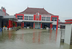 Kantor Samsat Kendal Terendam Banjir Dua Hari, Layanan Pajak Kendaraan Lumpuh