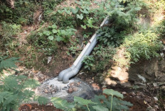 Dugaan Pencemaran Lingkungan oleh Damatex: DLH Salatiga Temukan Fakta Air Sungai Tritis Berbau dan Keruh