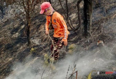 Karhutla Gunung Sumbing Berulang, Warga Minta Embung hingga Drone untuk Cegah Api Meluas