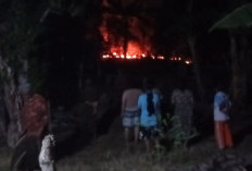 Lahan Pekarangan Rumah Terbakar, Api Diduga dari Puntung Rokok yang Dibuang Sembarangan