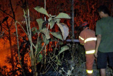 Kebakaran Lahan di Gunung Tugel Kutoarjo Bikin Warga Panik, Api Merembet ke Kawasan Pohon Jati