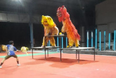 Barongsai Semarang Bidik Lima Emas pada Debut Porprov Jateng 2026, Naga Kecepatan Jadi Andalan