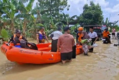 Banjir Rendam 4 Kecamatan di Demak, 4.280 Warga Terdampak dan Satu Korban Hilang