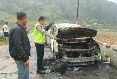 Geger, Grand Livina Terbakar di Jalur Wisata Gerlang Batang