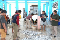 Musim Ikan Layur Datang, Pelelangan di TPI Karangduwur Kebumen Ramai, Produksi Capai Rp5,4 Miliar per Bulan