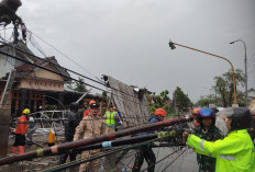 Hujan dan Angin Kencang Terjang Kesesi, Rusak Atap Sekolah Hingga Robohkan Tiang Listrik