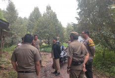Kandang Ayam Bikin Geger Warga Rowobelang Batang, Jarak Cuma 40 Meter dari Pemukiman