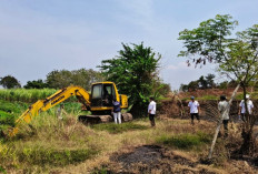 Lahan Sawah Dilindungi di Jepara Dikeduk Tambang Liar, Ekskavator Disembunyikan Usai Keruk 2.800 M³ Tanah