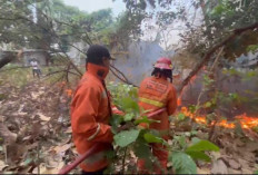 Dalam Sehari Dua Kebakaran Terjadi di Slawi Tegal, Hanya Berselang Enam Jam
