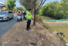 Vario Tabrak Pohon hingga Masuk Tambak di Sigandu Batang , Pengendara Tewas