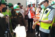 Kepala Badan Karantina Tinjau SSm JI-QC di Pelabuhan Tanjung Emas, Dwelling Time Impor Lebih Singkat