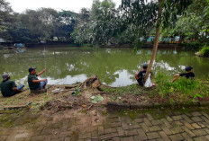 Ngabuburit Anti Mainstream! Sensasi Tarikan Patin 10 Kg Bikin Pemancing Ketagihan