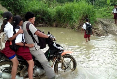 Transportasi Guru Dinilai Harus Masuk Kebijakan Pendidikan, Beban Perjalanan Disebut Pengaruhi Mutu Belajar