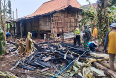 Bagian Belakang Rumah Joglo di Grobogan Ludes Terbakar, Diduga Lupa Matikan Bakaran Sampah