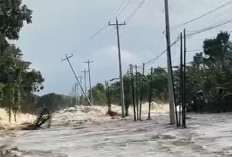 Jalan Provinsi Semarang - Purwodadi Lumpuh Total Akibat Jebolnya Tanggul Sungai Tuntang