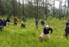 1.000 Bibit Pohon Siap Ditanam di Lereng Merbabu