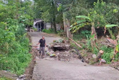 Tanah Gerak di Semarang Tak Terhindarkan, DPRD Minta Pemetaan Risiko dan Relokasi Warga Rawan