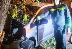 Honda Jazz Tabrak Pohon di Salatiga, Pengemudi Asal Kabupaten Semarang Luka Kaki Kiri