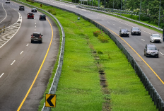 Didominasi Kendaraan Pribadi, JSN Catat 1.010.060 Kendaraan Melintas Tol Solo-Ngawi