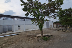 Kemelut Proyek KDMP di Sragen, Kades Dijadikan Kambing Hitam