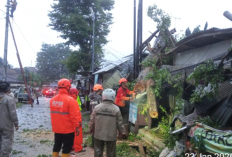 Angin Kencang Landa Salatiga, Pohon Tumbang di 6 Titik