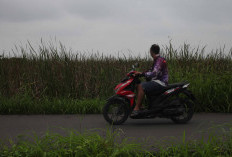 19 Kelurahan Kota Tegal Terdampak Intrusi Air Laut, Total 1.570 Hektare