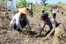 Hutan Gundul Guyangan Rawan Bencana, Polresta Pati Tanam Ribuan Bibit Pohon Jati 