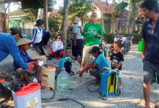 Petani Jatiluhur Gelar Gerdal Perdana untuk Kacang Hijau, Targetkan Hasil Panen Maksimal
