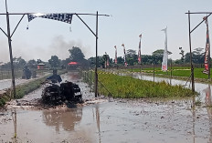 Lomba Bajak Sawah HUT ke-81 RI di Klaten Diikuti Lintas Provinsi di Pulau Jawa
