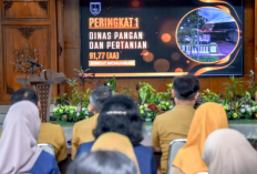 Tahun 2026, Nilai Eksternal Kearsipan Pemkot Salatiga Mencapai 88,23