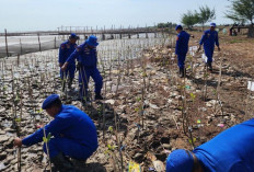 Abrasi Jadi Ancaman Serius Wilayah Pesisir Pantura Pati