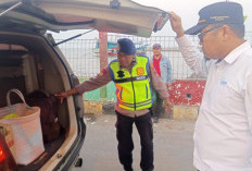 Minuman Beralkohol Impor Diselundupkan di Karimunjawa, Petugas Perketat Pemeriksaan di Pelabuhan Jepara