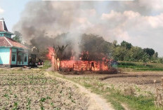 Madrasah Diniyah di Pulokulon Ludes Terbakar, Kerugian Ditaksir Capai Rp 60 Juta