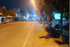 Kurang dari 24 Jam, Polsek Wirosari Bekuk Terduga Pelaku Penipuan dan Penggelapan Sepeda Motor