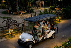 Uniknya Berwisata Lebaran Jelajahi Satwa di Malam Hari di Kota Solo