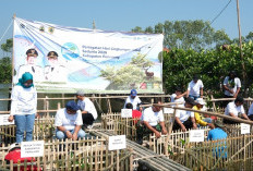 Hadapi Ancaman Abrasi, Pemkab Pemalang Tanam 3.000 Mangrove di Pesisir Ulujami