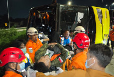 Bus Cahaya Trans Terguling di Exit Tol Krapyak Semarang, 15 Penumpang Tewas