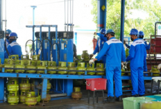 Untuk Jateng-DIY, Libur Idul Adha Pertamina Tambah 1,5 Juta Lebih Tabung LPG 3kg 