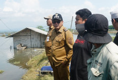 Wilayah Pati Dikepung Ancaman Leptospirosis, Warga Bumi Mina Tani Diimbau Waspada