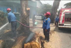 Gedung MWC NU Slawi Nyaris Dilalap Api, Rumah Warga Ikut Terancam
